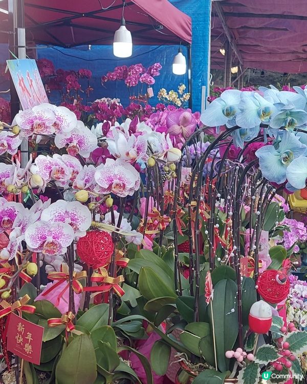 旺角年宵市場，花開富貴