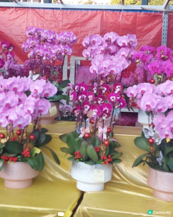 旺角年宵市場，花開富貴