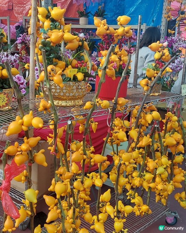 旺角年宵市場，花開富貴