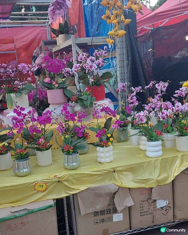 旺角年宵市場，花開富貴