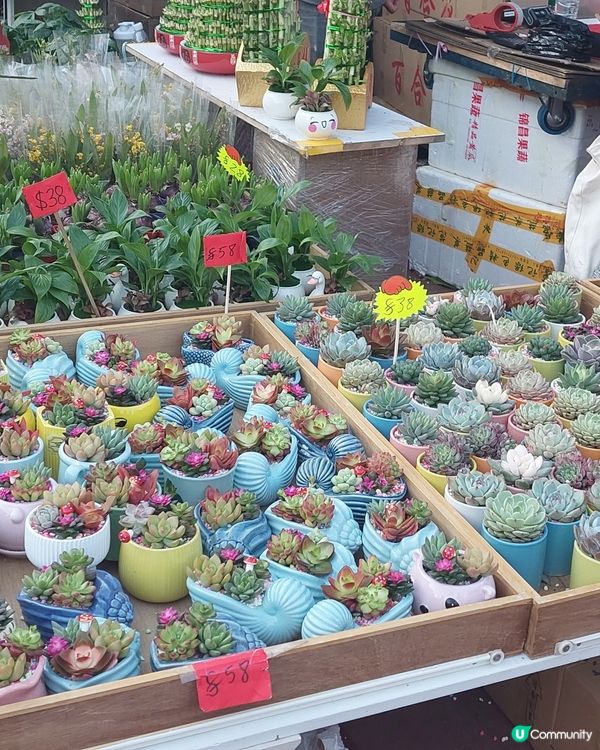 旺角年宵市場，花開富貴