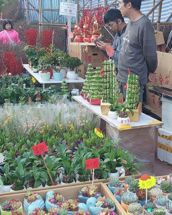 旺角年宵市場，花開富貴