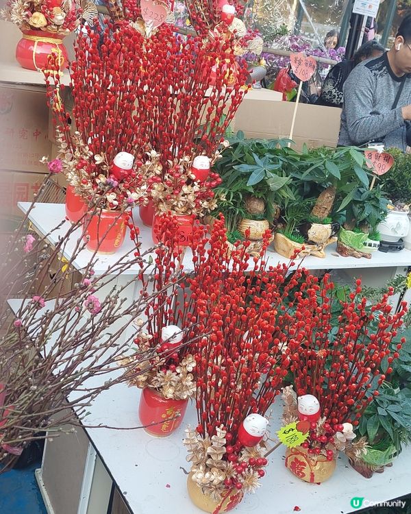 旺角年宵市場，花開富貴