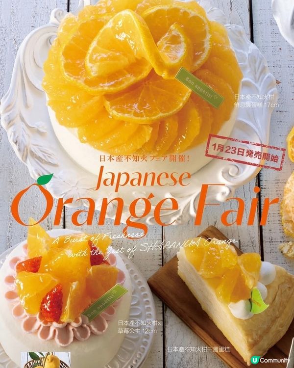 Chateraise：Japanese Orange Fai