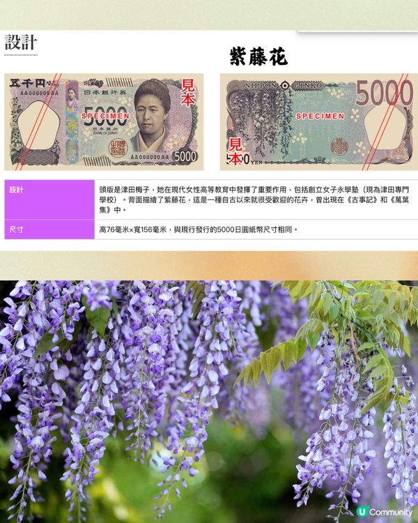 日圓新鈔有5組號碼/AA字母組合🇯🇵拍賣高達10萬日圓‼️即睇