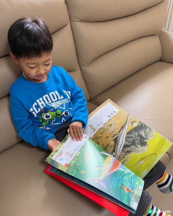 【 101隻超震撼恐龍 】