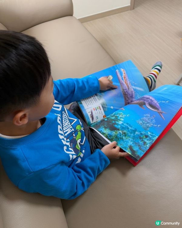 【 101隻超震撼恐龍 】