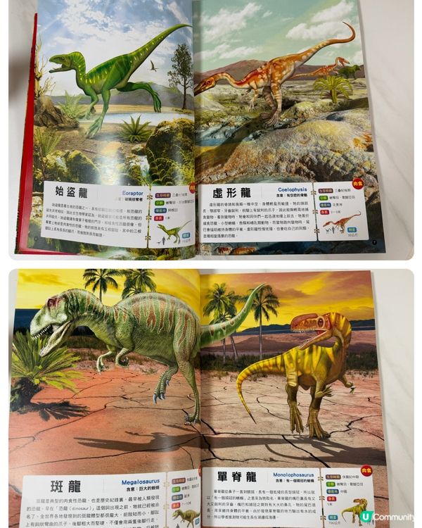 【 101隻超震撼恐龍 】