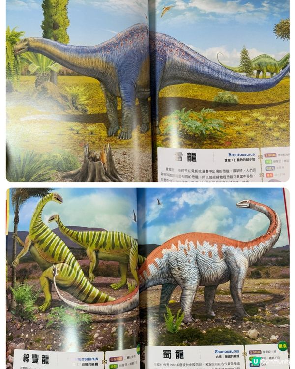 【 101隻超震撼恐龍 】