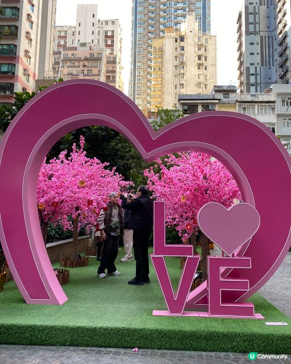 傳統燈籠高高,充滿農曆新年氣氛!白天與夜晚嘅景色完全唔一樣嘅...