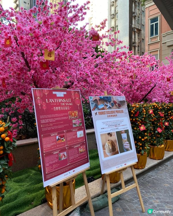 傳統燈籠高高,充滿農曆新年氣氛!白天與夜晚嘅景色完全唔一樣嘅...