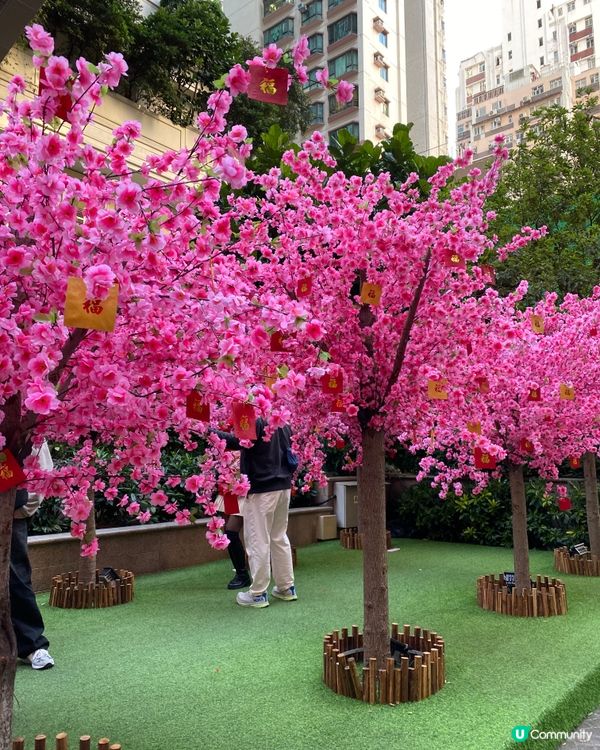 傳統燈籠高高,充滿農曆新年氣氛!白天與夜晚嘅景色完全唔一樣嘅...