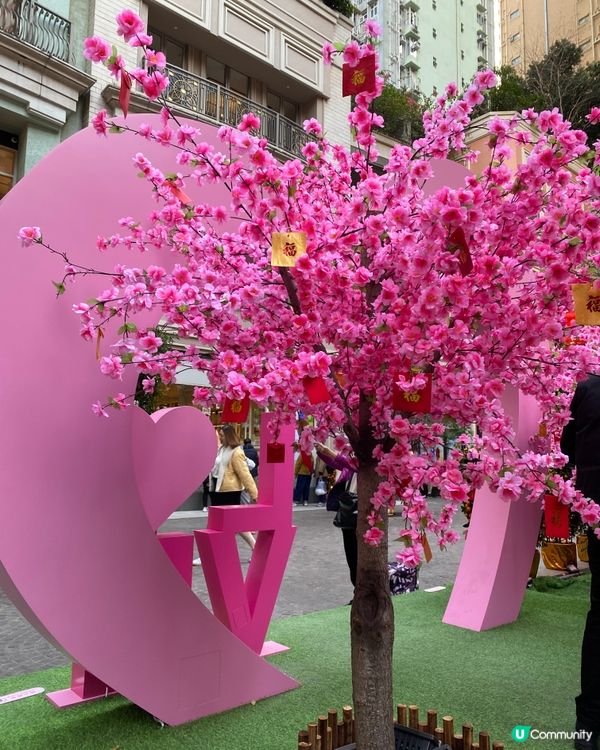 傳統燈籠高高,充滿農曆新年氣氛!白天與夜晚嘅景色完全唔一樣嘅...