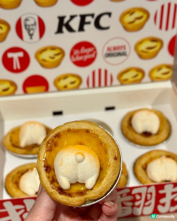 全新萌爆｢哥基朱古力葡撻｣🐶 打卡賞｢葡撻寵物帽｣👒🎩