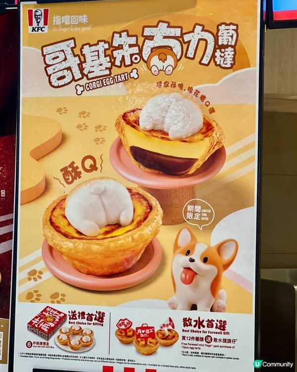 全新萌爆｢哥基朱古力葡撻｣🐶 打卡賞｢葡撻寵物帽｣👒🎩