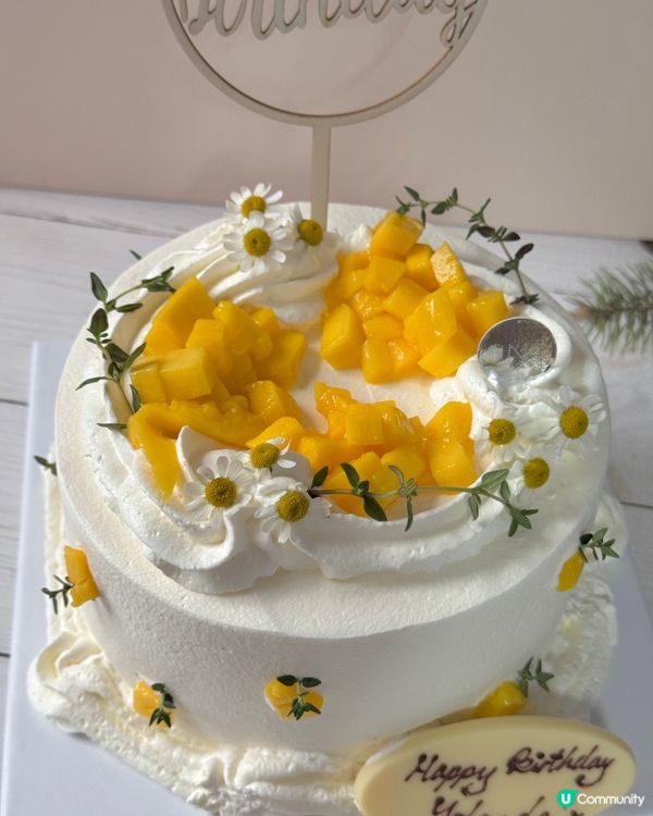 慶生必備 高質親切仙氣蛋糕🎂🍰🧚‍♀️