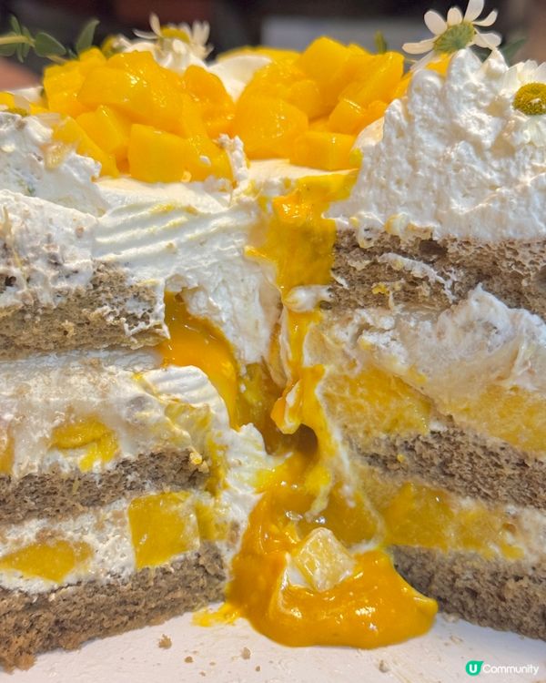 慶生必備 高質親切仙氣蛋糕🎂🍰🧚‍♀️