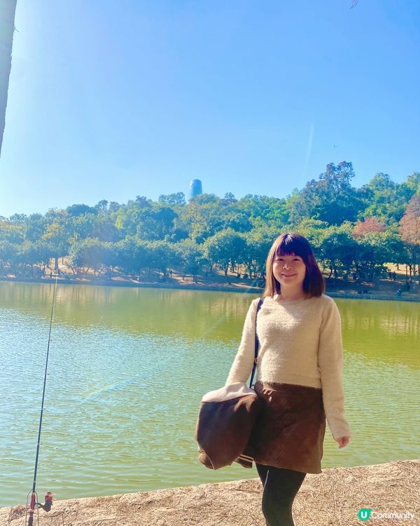 🍂蓮花山公園 - 蓮花湖落羽杉🍂