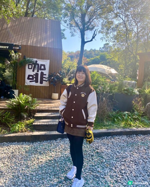 🍂蓮花山公園 - 蓮花湖落羽杉🍂