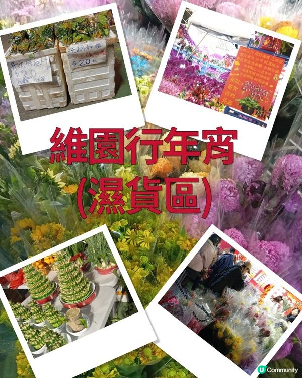 逛維園年宵花巿-買年花買個好意頭