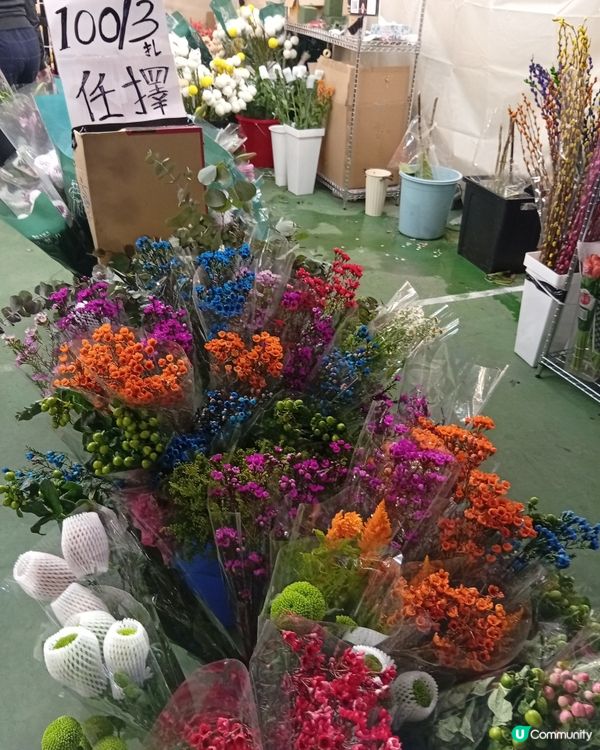 逛維園年宵花巿-買年花買個好意頭