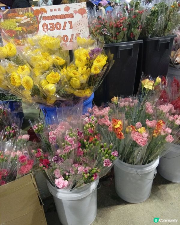逛維園年宵花巿-買年花買個好意頭