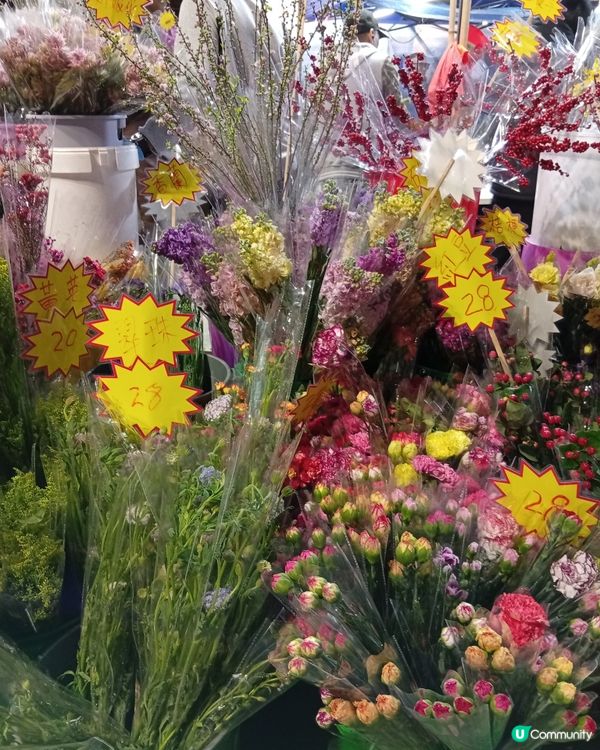 逛維園年宵花巿-買年花買個好意頭