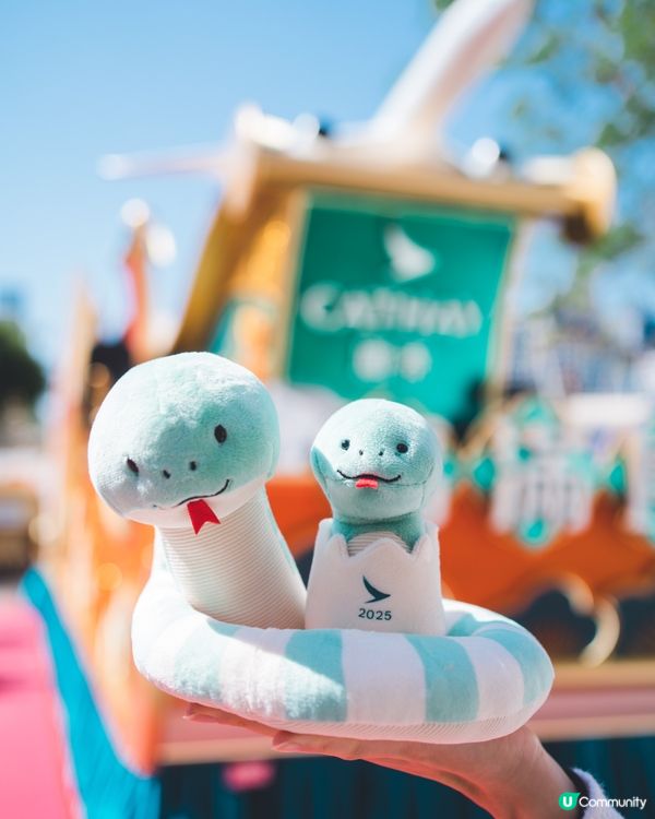 率先欣賞花車匯演