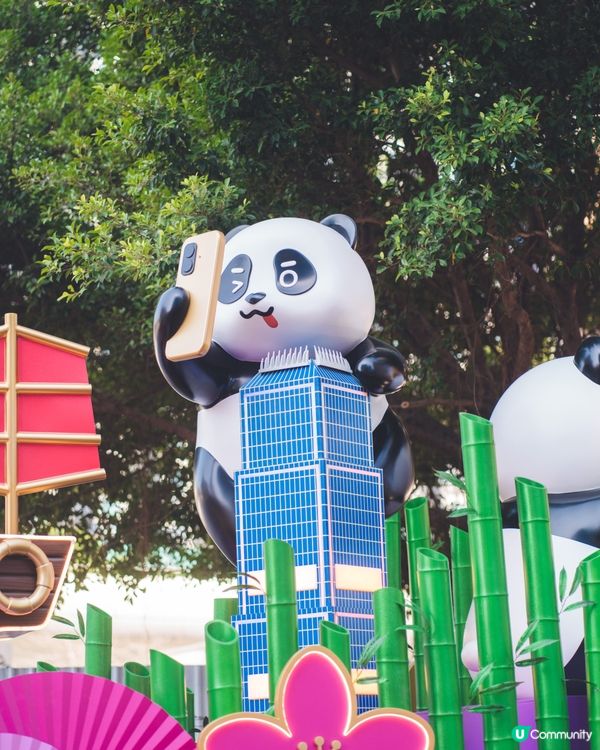 率先欣賞花車匯演