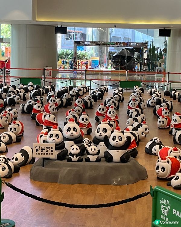 💖💖🐼🐼🥳🎈