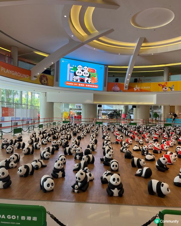 💖💖🐼🐼🥳🎈