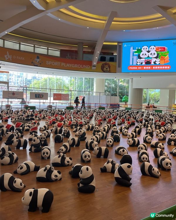 💖💖🐼🐼🥳🎈