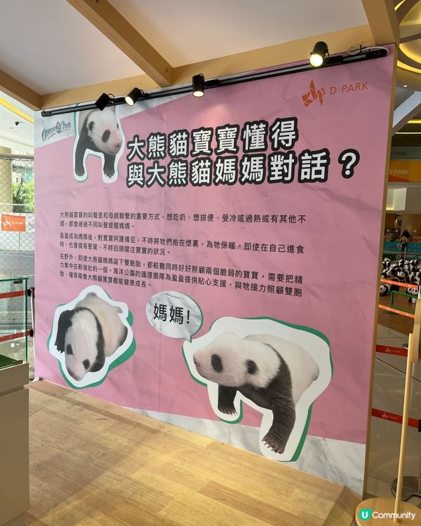 💖💖🐼🐼🥳🎈