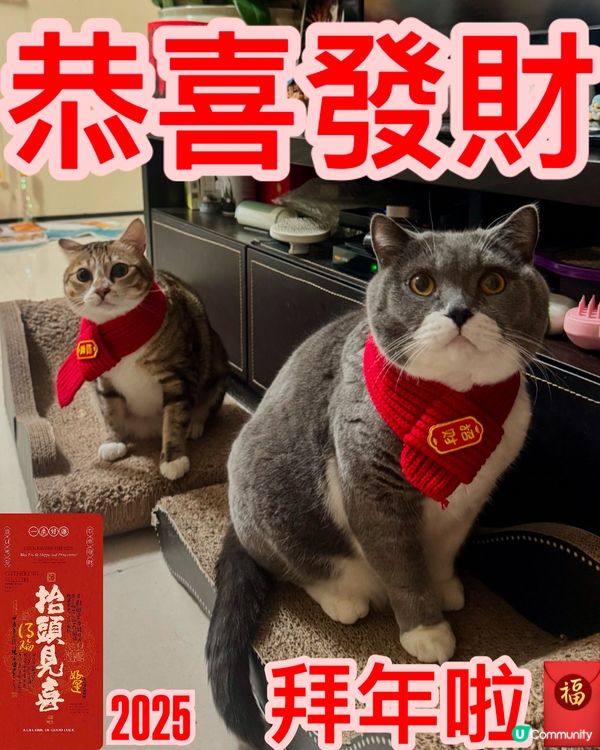 🎊🧧拜年啦拜年啦🧧🎊