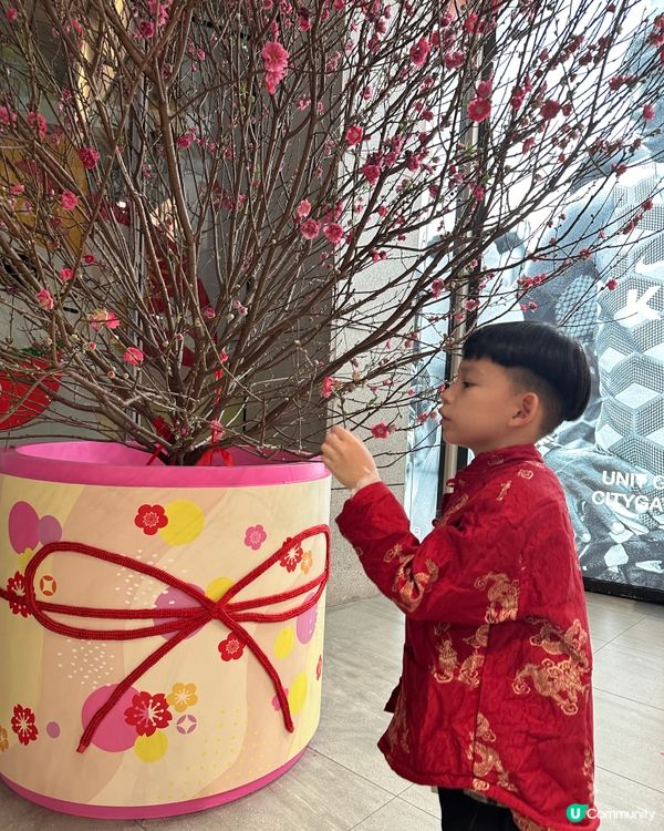 大年初一🌸桃花盛開。好運齊來