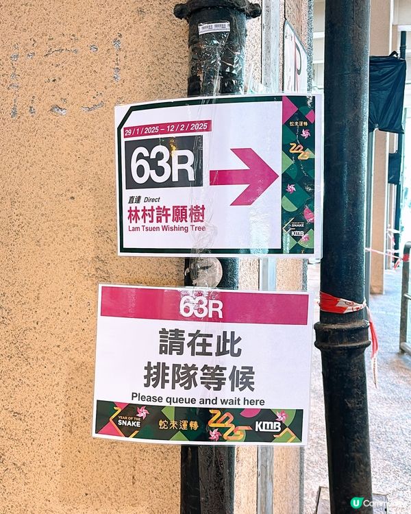 🎏大埔林村許願節2025🎊