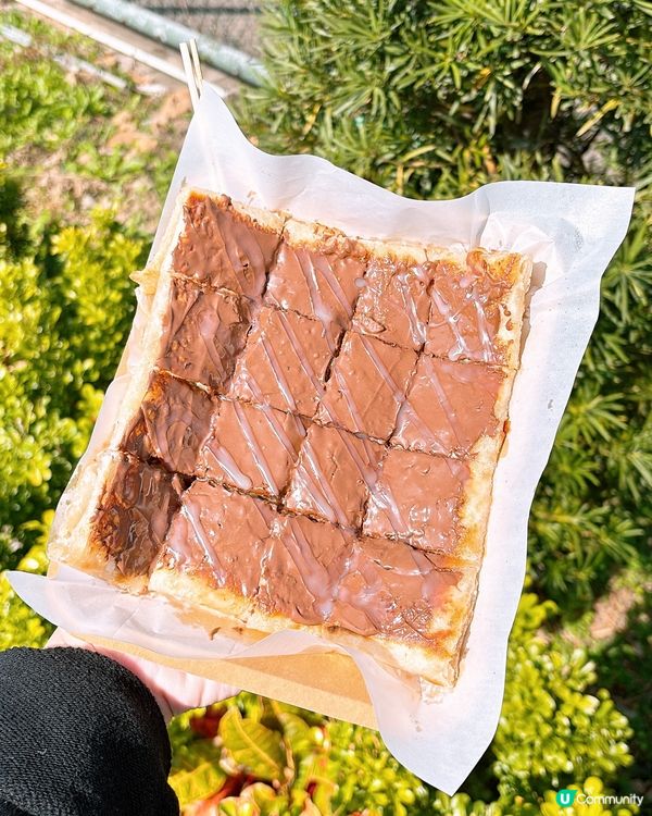 🎏大埔林村許願節2025🎊