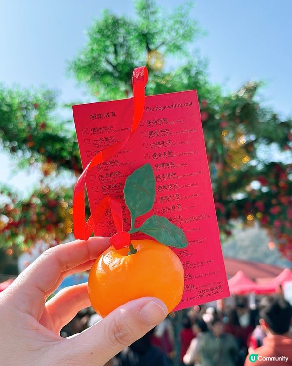 🎏大埔林村許願節2025🎊