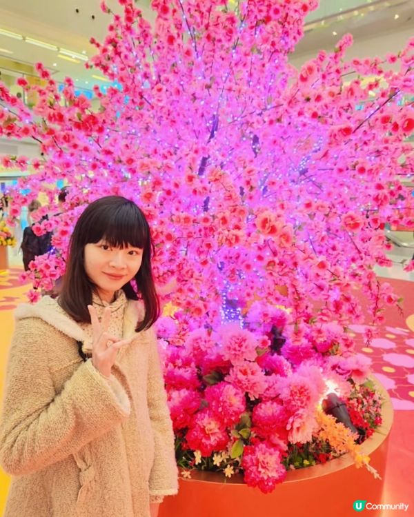 桃花開運庭園 來年依舊迎花開