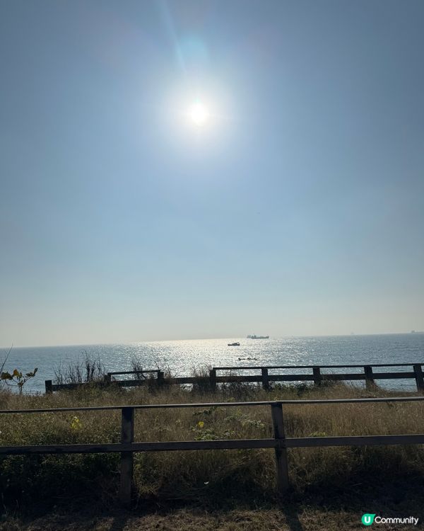 高雄旗津半天遊