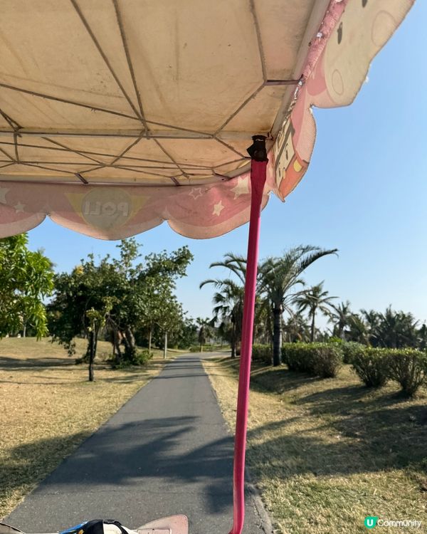 高雄旗津半天遊