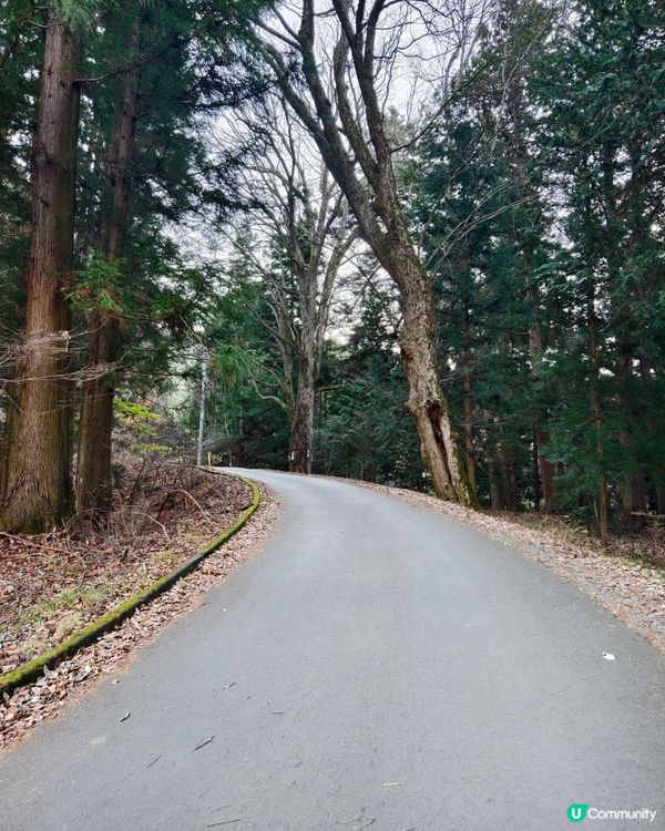 富士遙拜所，同時拍到富士山及鳥居