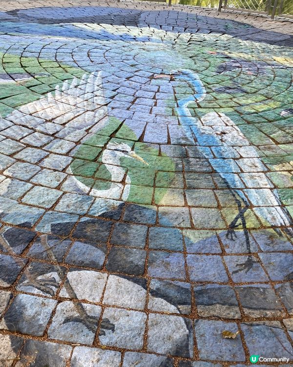 新春屯門公園走走