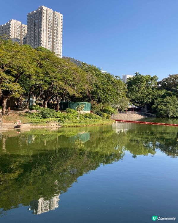 新春屯門公園走走