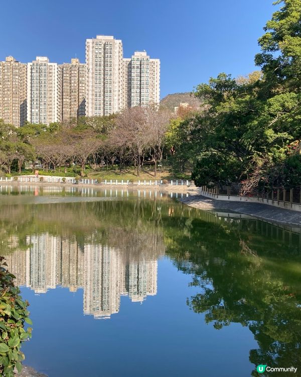 新春屯門公園走走