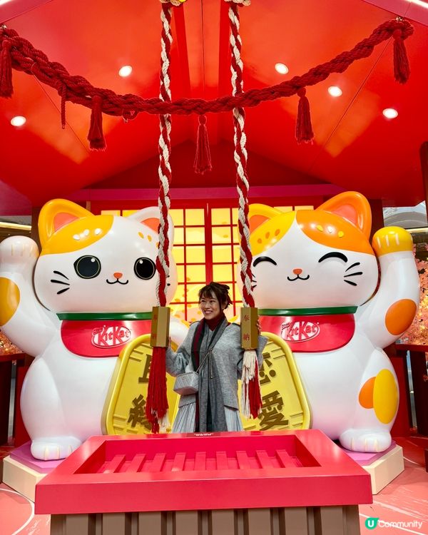 香港都有日本神社？呢度有好多招財貓招財啊！