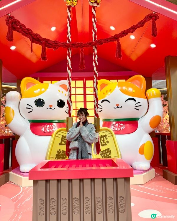 香港都有日本神社？呢度有好多招財貓招財啊！