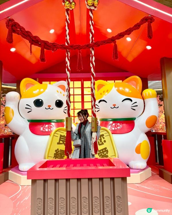 香港都有日本神社？呢度有好多招財貓招財啊！