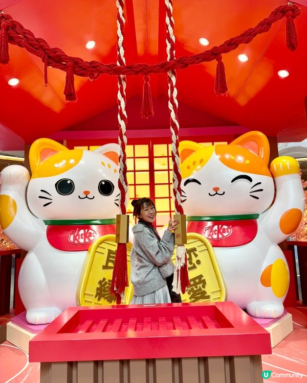 香港都有日本神社？呢度有好多招財貓招財啊！