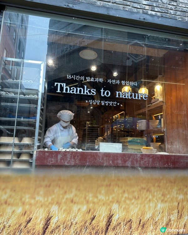 🇰🇷韓國大田人氣聖心堂麵包探店